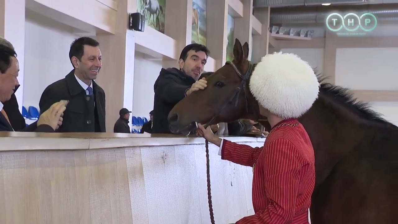 Представители ФАО ознакомились с конноспортивным комплексом в Туркменистане