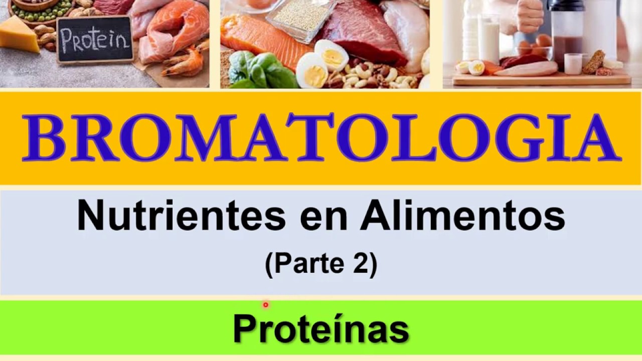 BROMATOLOGIA: Proteinas en alimentos
