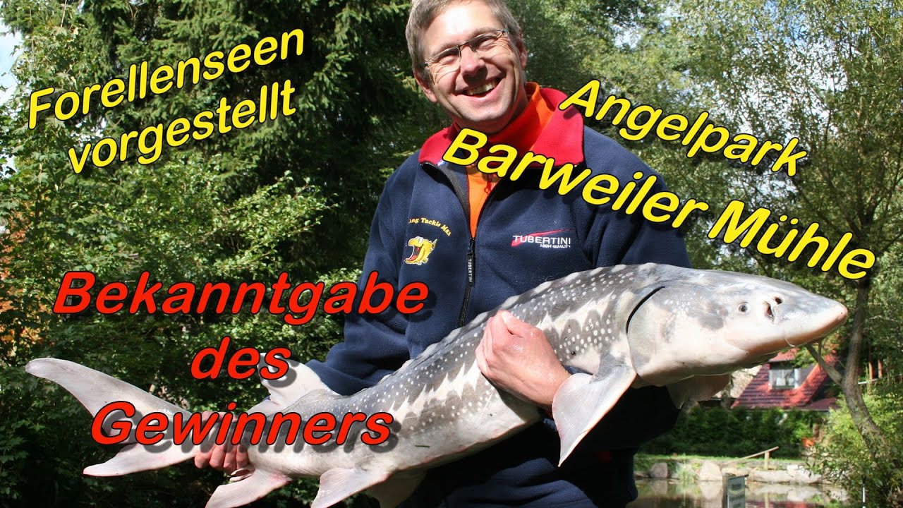 Forellenseen vorgestellt - Angelpark Barweiler Mühle (Eifel)