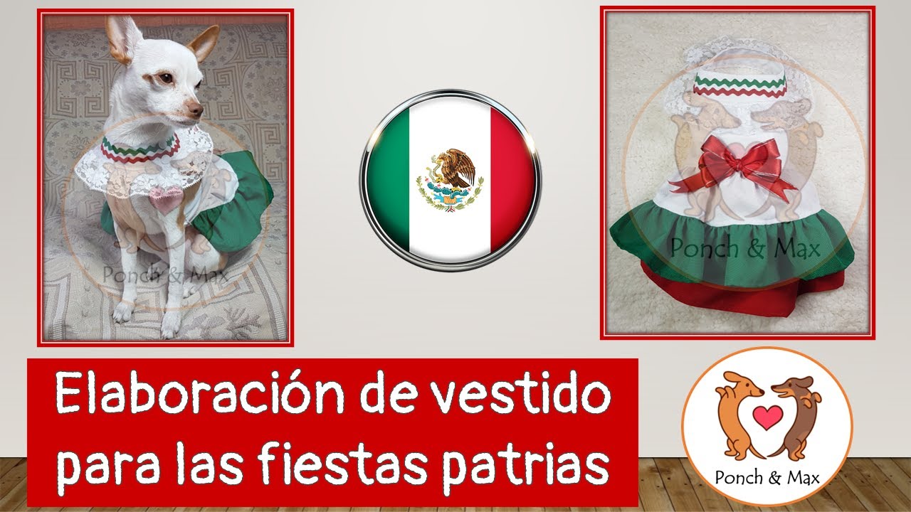 DIY 🐶 Elaboración de vestido para las fiestas patrias. Vestido perrita 🥰 Ropa para perros y mascotas