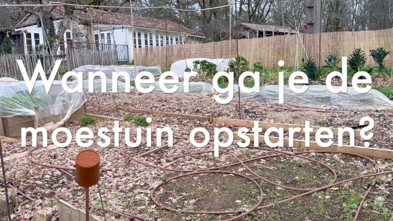 Ini's Moestuin #267 -Wanneer in het voorjaar start je de moestuin op & wat doet regen met je grond.
