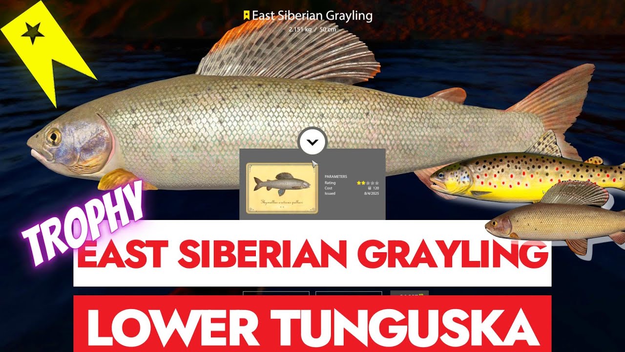 RUSSIAN FISHING 4 - RF4 - TROPHY EAST SIBERIAN GRAYLING - LOWER TUNGUSKA