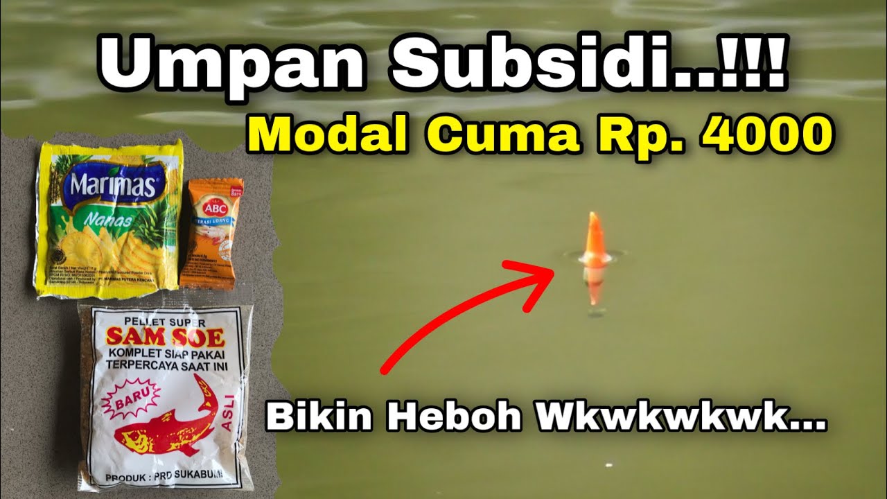 Umpan Subsidi Bikin Gempar Pemancingan | Umpan Murah Gacor Ikan Mas