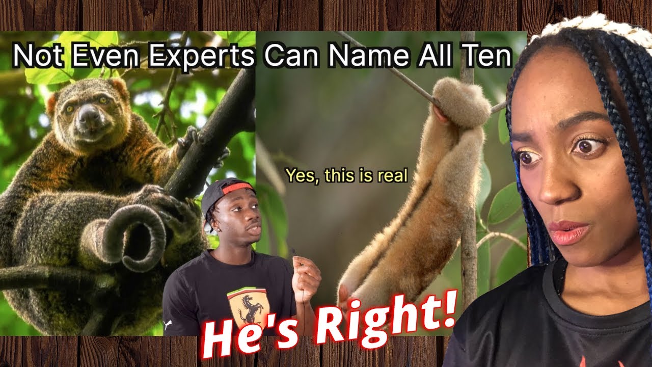 I'VE DEFINITELY NEVER SEEN ANIMALS LIKE THIS BEFORE! | Casual Geographic reaction