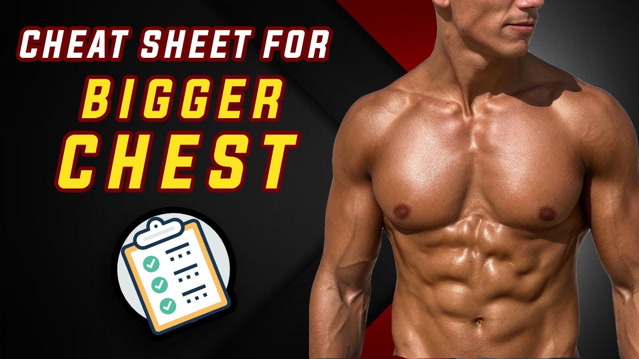 Cheat Sheet for BIGGER CHEST