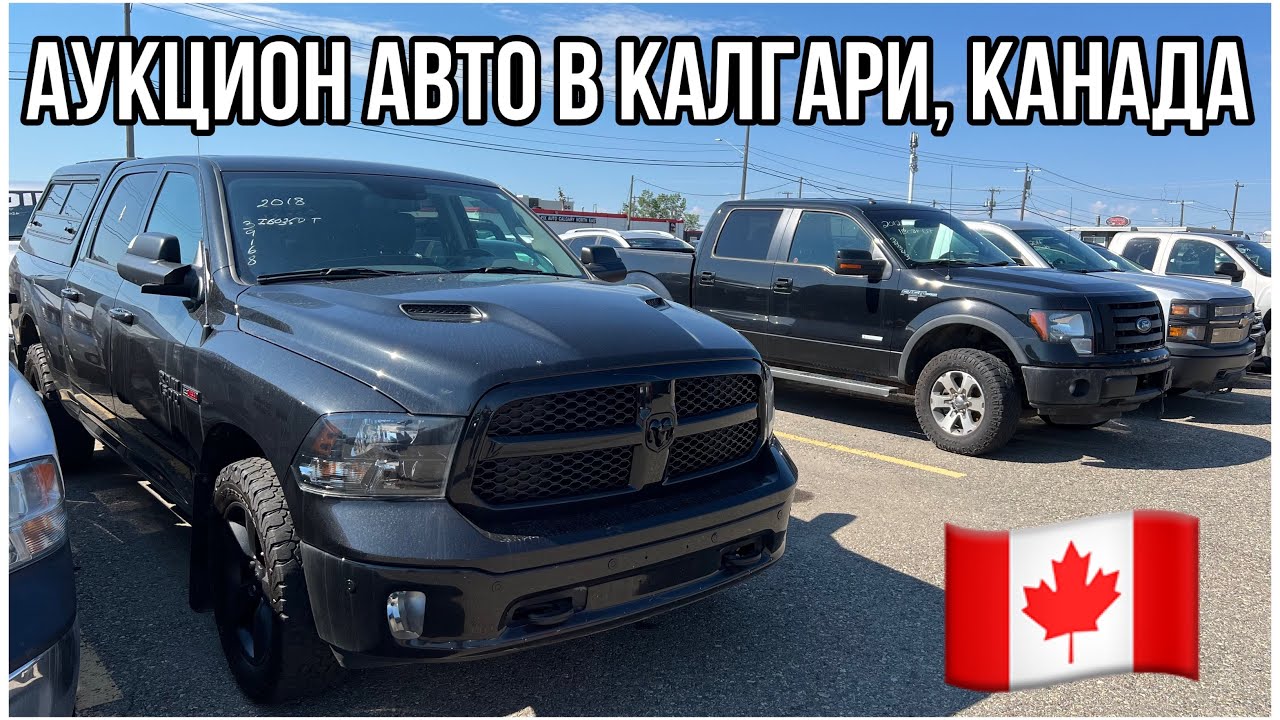 #207. ВЫБИРАЕМ ПИКАПЫ ДЛЯ ВСУ В КАНАДЕ. АУКЦИОН АВТО В КАЛГАРИ. #stoprussia
