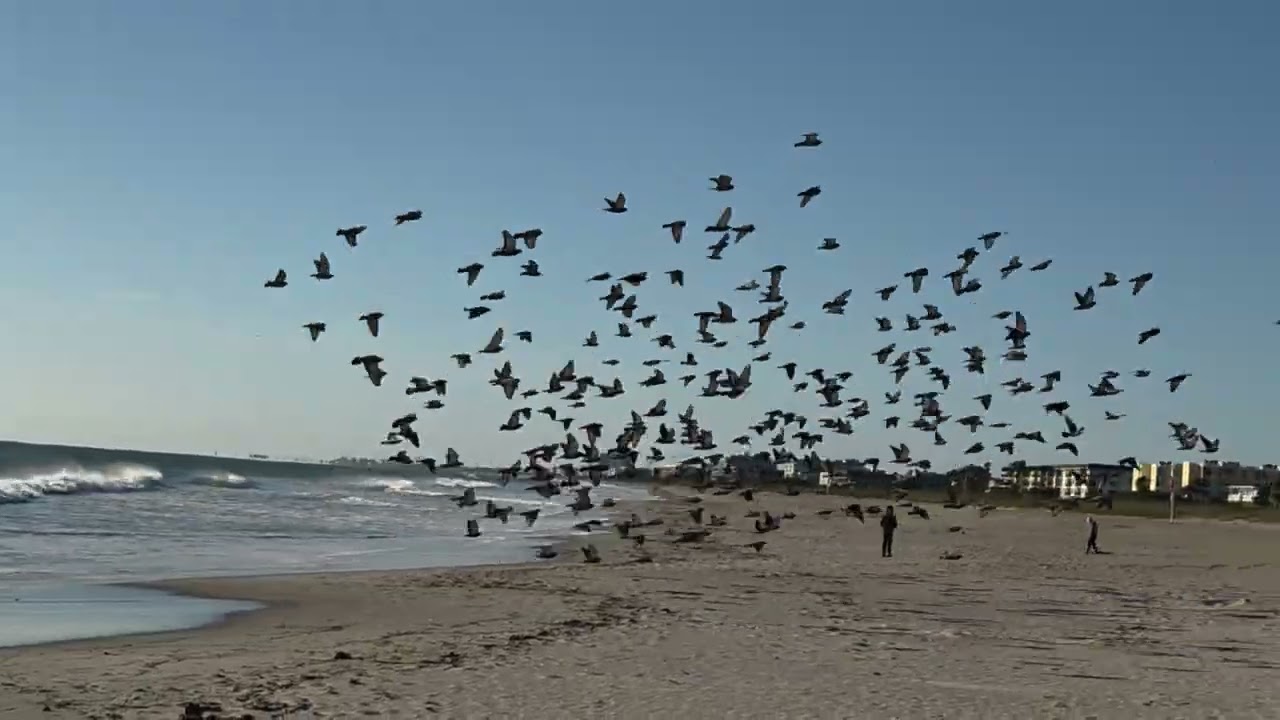 Cold Weather in Cocoa Beach Florida 