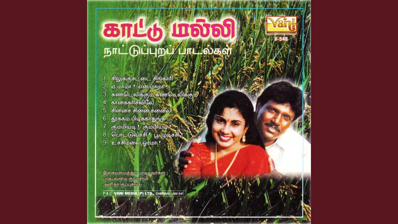 Silkusattai Singari