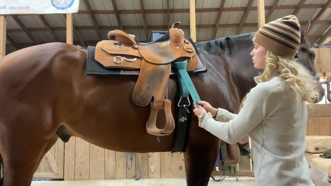 My Western Tack Set Up | EquestrianBliss