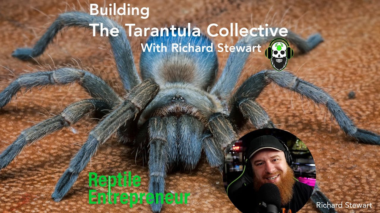 Building the Tarantula Collective with Richard Stewart