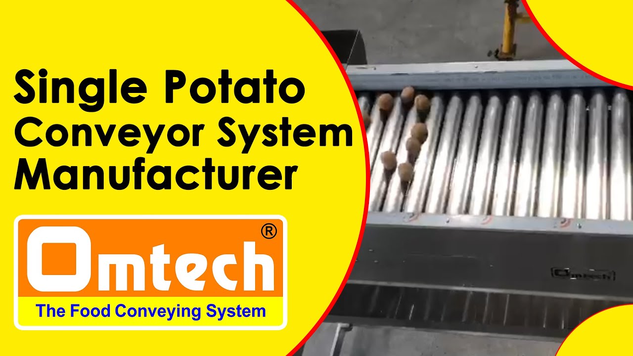 Potato inspection Conveyor System | Single Potato Conveyor System Manufacturer #omtechfoodengg