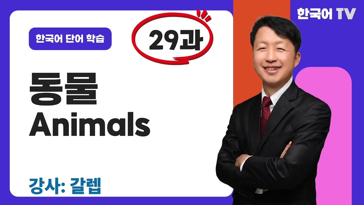 동물 관련 한국어 단어 30개 암기(29과) | Học thuộc lòng 30 từ tiếng Hàn liên quan đến động vật.