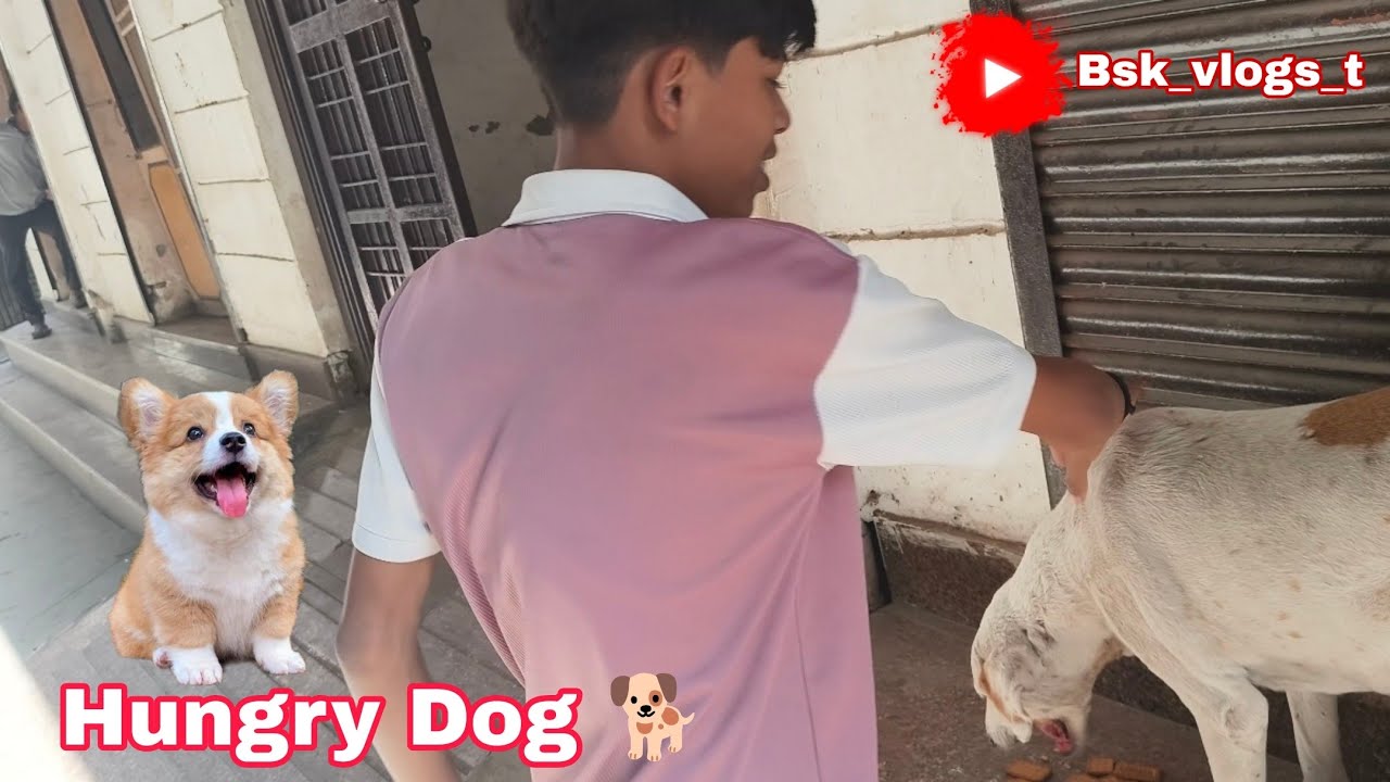Aaj Ka Vlog: Cricket, Bachche Aur Ek Dil Ko Chhoo Jane Wala Moment 🏏🐶 ( Day #3 )