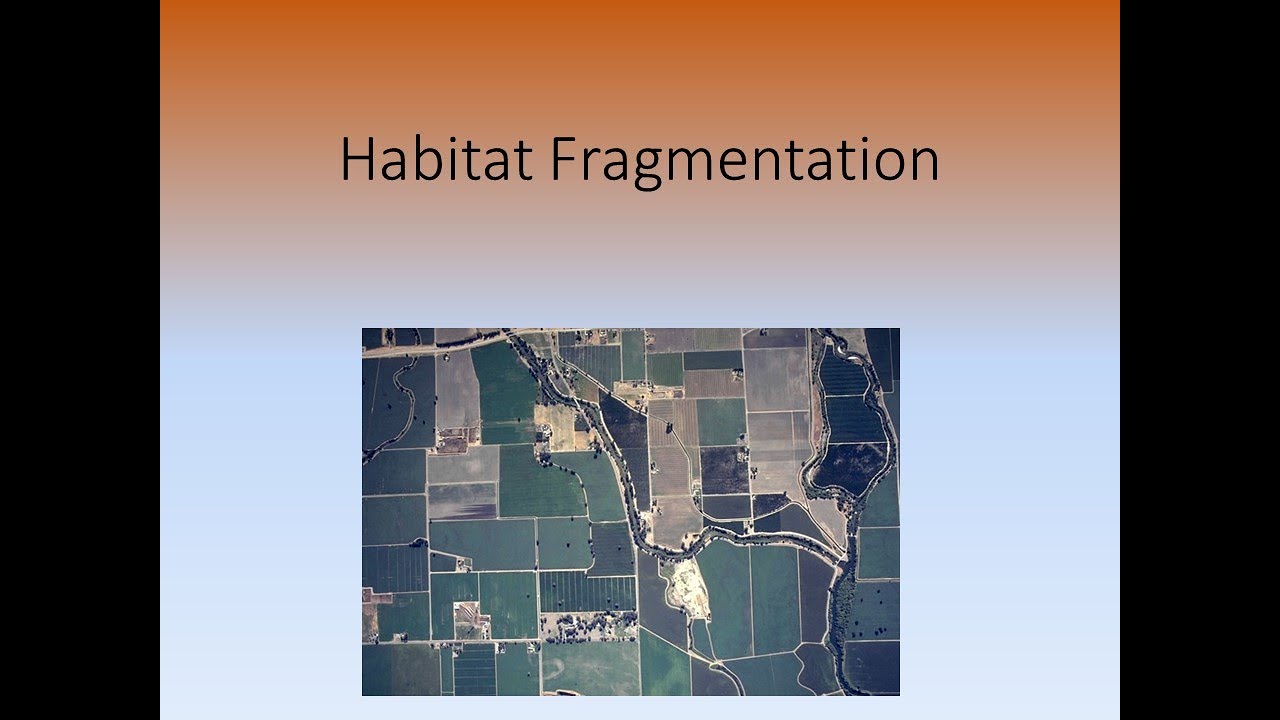 09B   Habitat Fragmentation
