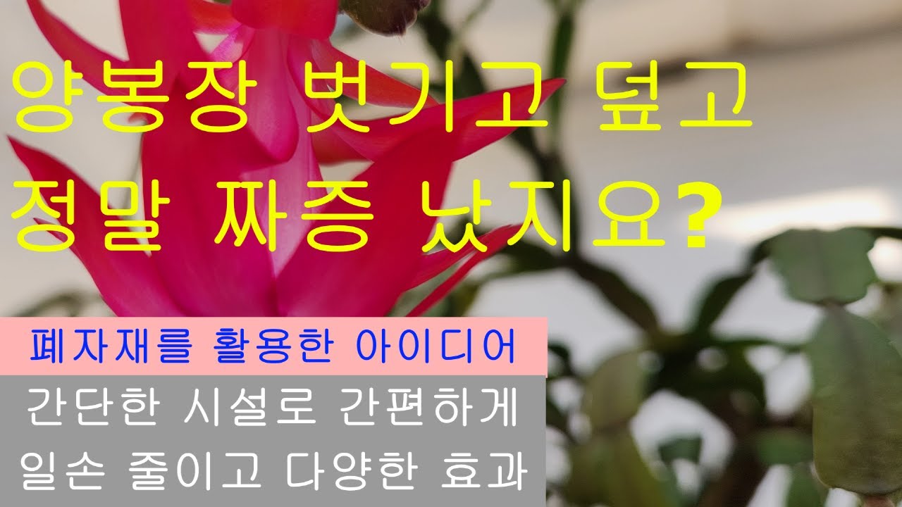 양봉실종,그래도 양봉장 벗기고 덮고,간단한 시설로 간편하게