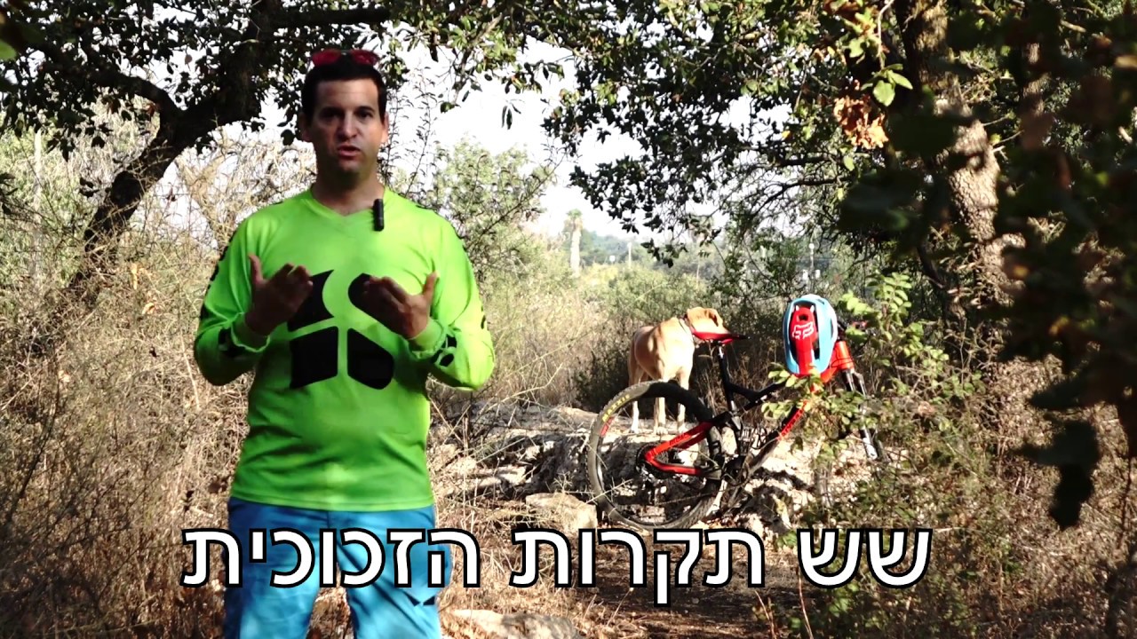 שש תקרות הזכוכית- סדרת כתבות וידאו בדוא