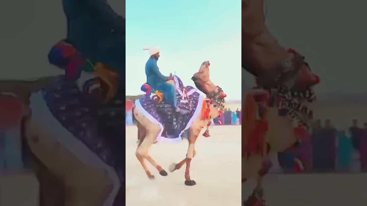 Thar parkar jo Khobsort Oth #shortsfeed #tharmanzar #thardesert #song