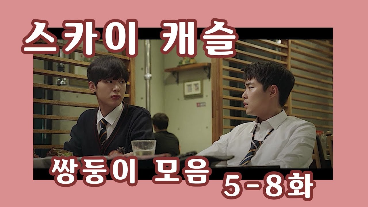 드라마 추천  / 스카이 캐슬 쌍둥이 차서준 차기준 모음 5-8화
