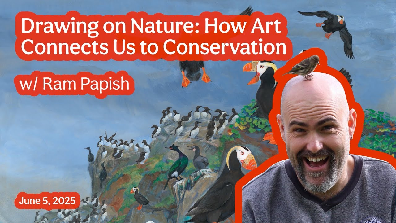 Drawing on Nature How Art Connects Us to Conservation w/ Ram Papish