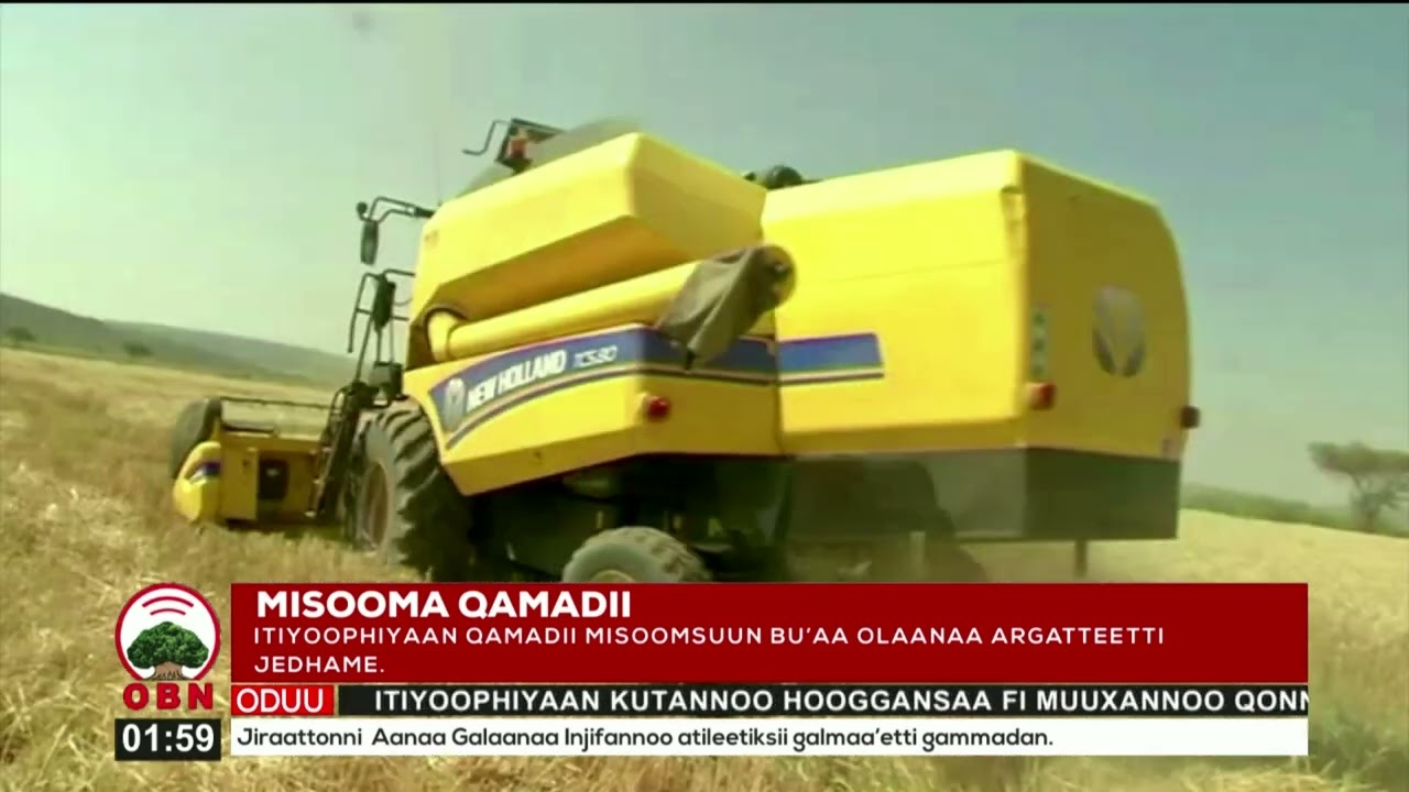 #Misooma Qamadii