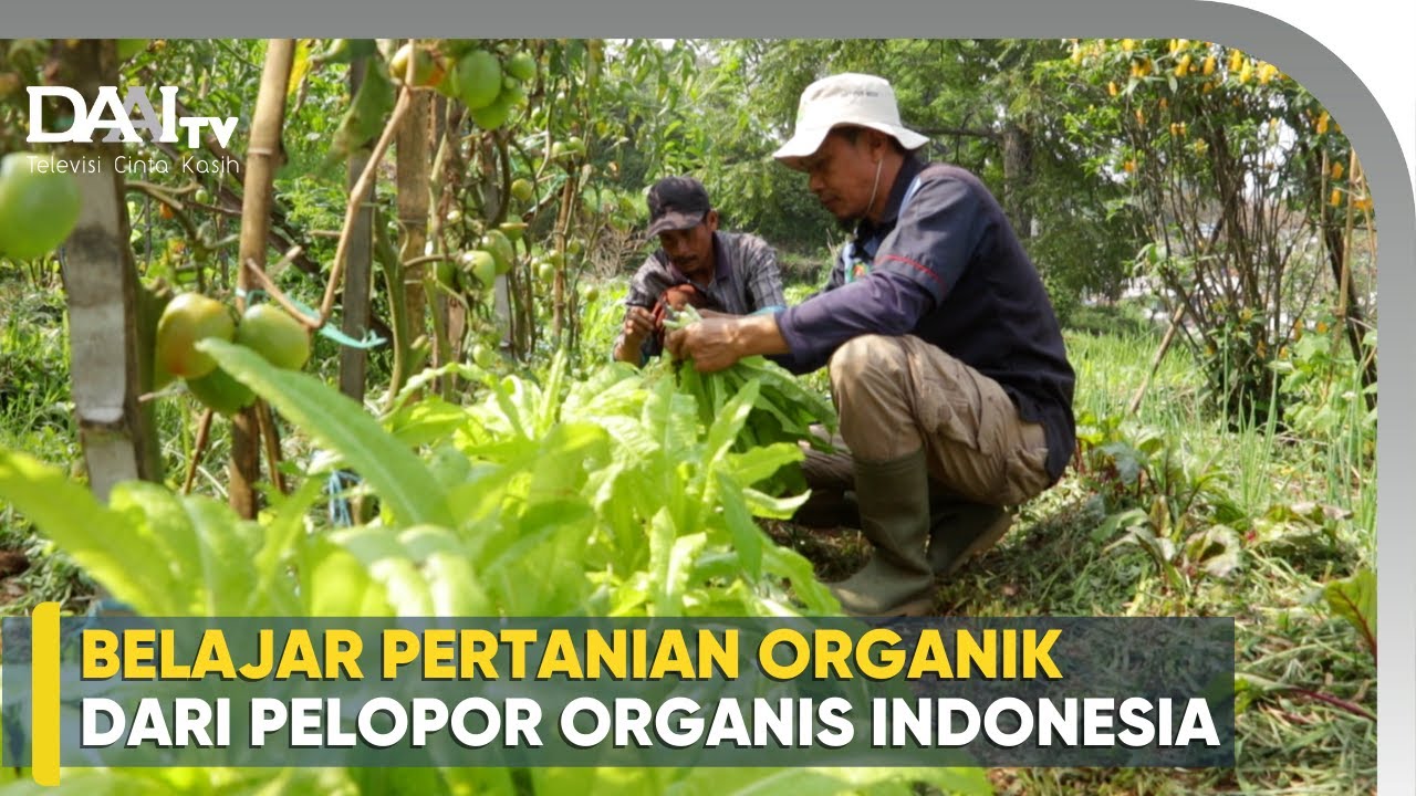 Ini Dia Pelopor Pertanian Organik di Indonesia! Sejak 1984 - Agatho Farm
