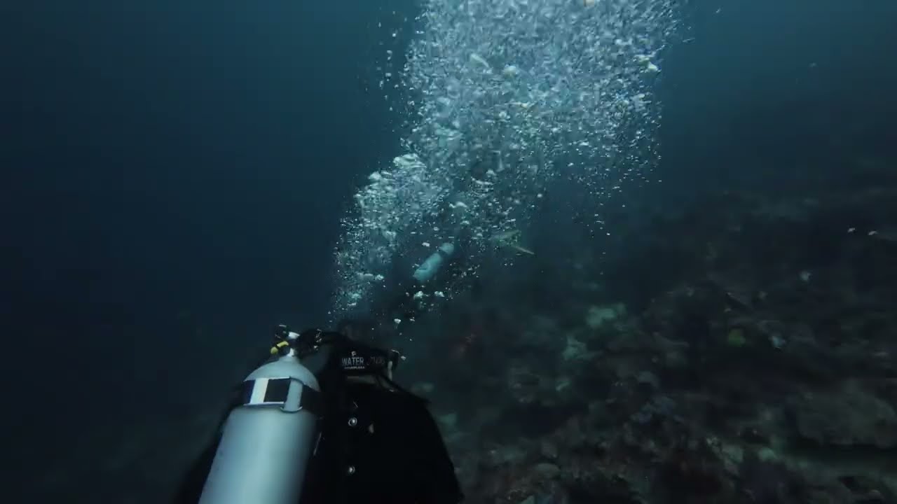 Divers drifting and training