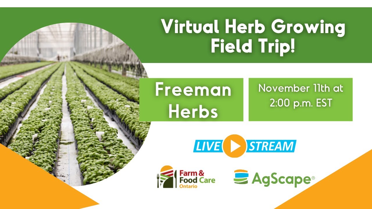 Virtual Food & Farm Field Trip with Freeman Herbs