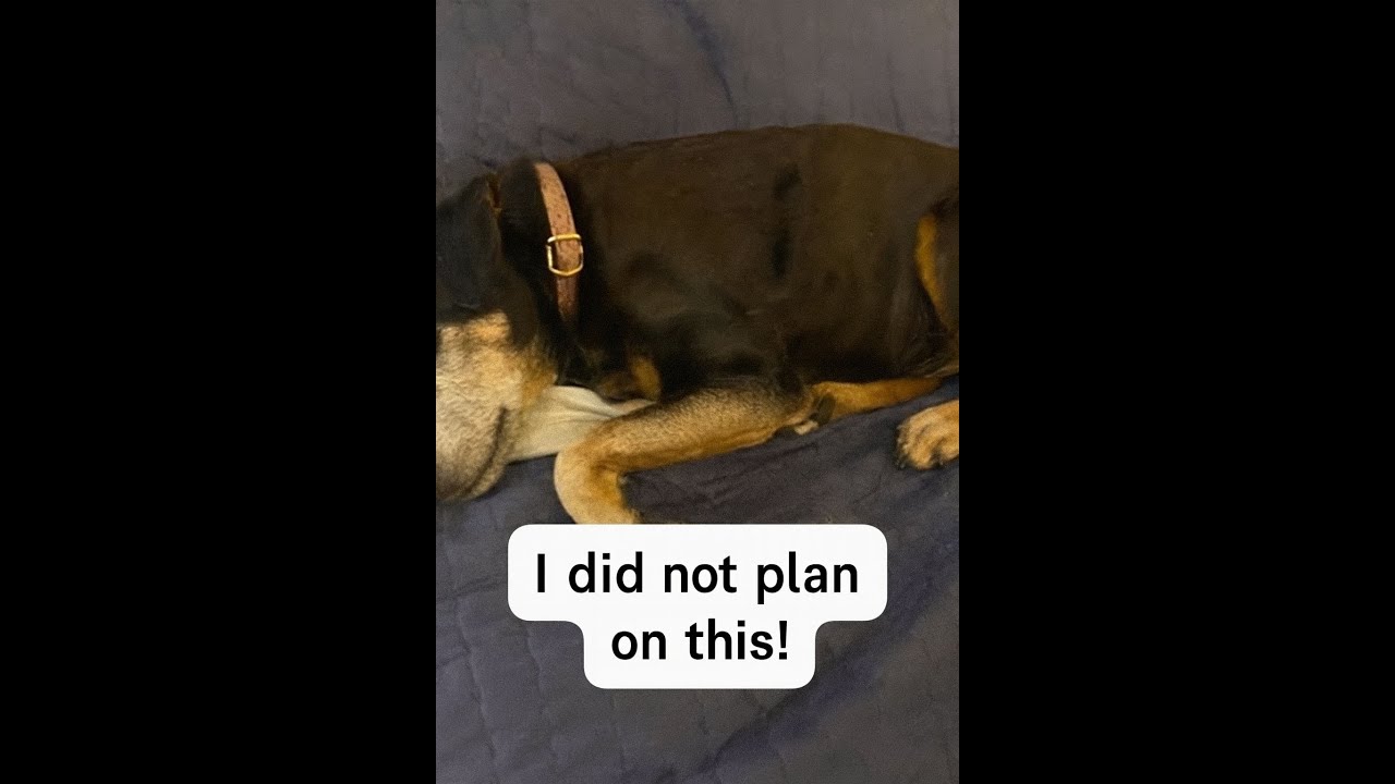 Dealing with the unplanned