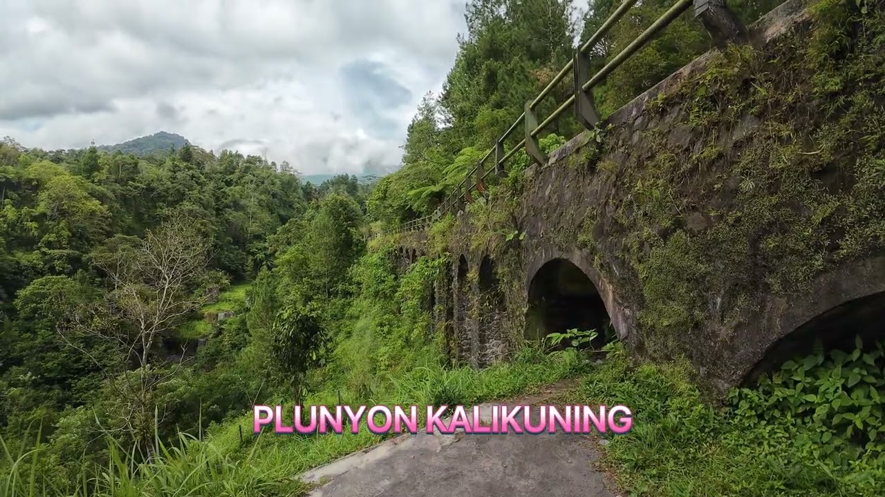 MERAPI BERG & PLUNYON KALIKUNING 