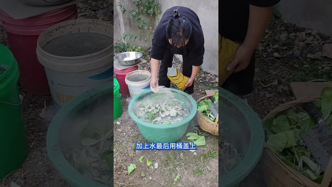 Home Vegetable Gardening: DIY Compost Tips for Beginners