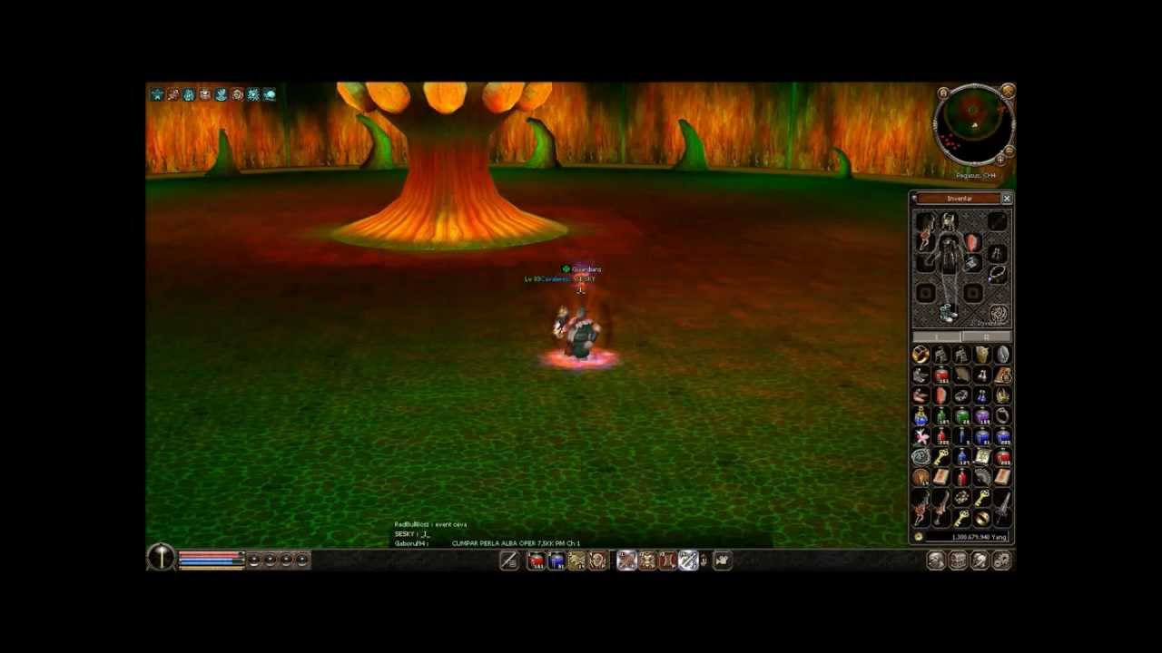 metin2.ro pegasus sura vs reapper fara buff