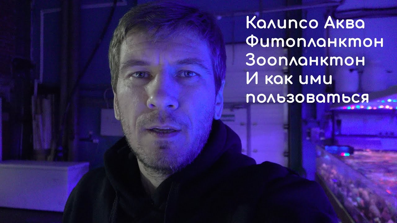 Зоо и Фитопланктон Калипсо и не только