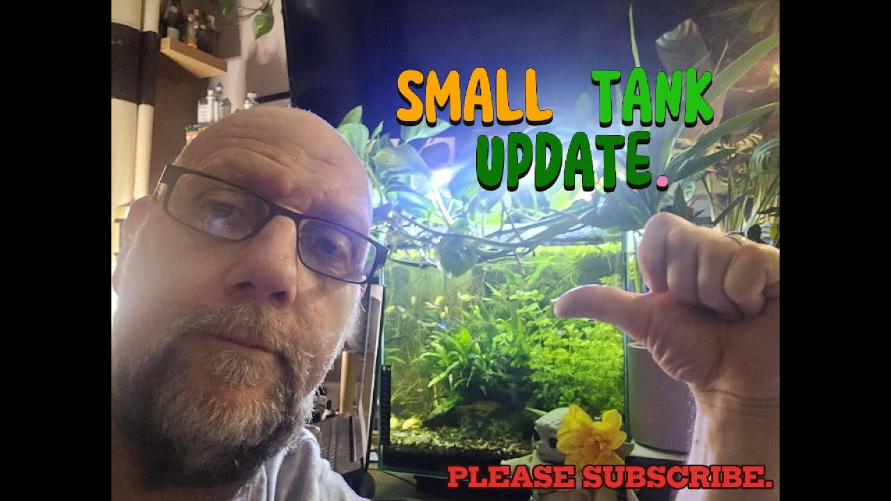 SMALL TANK UPDATE