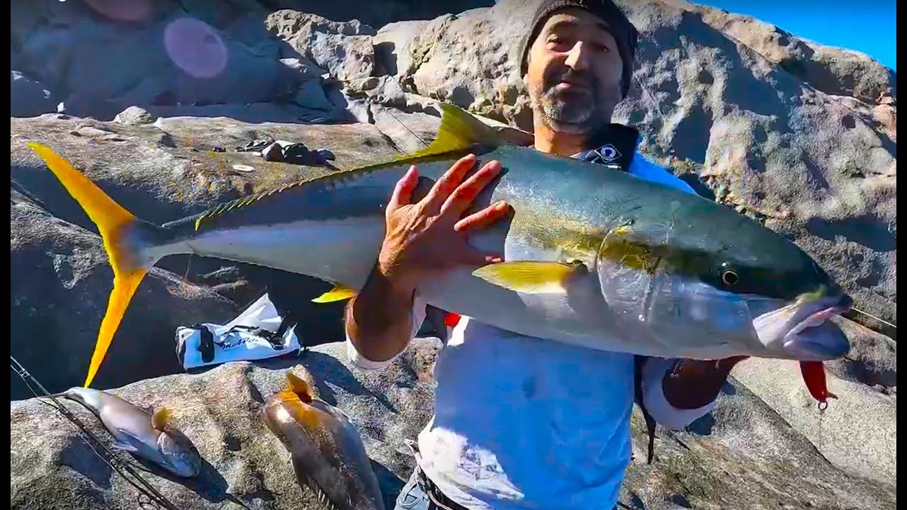 The Best Land Based Fishing for kingfish off the rocks