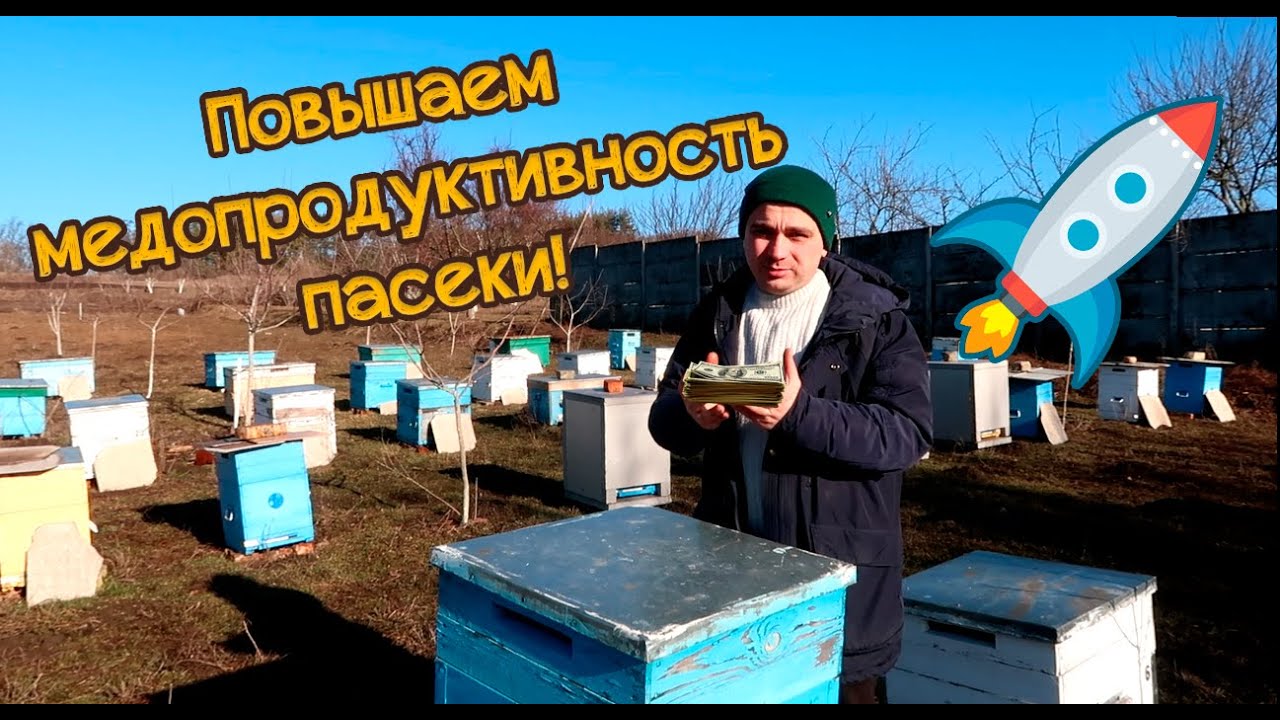 ✅ Как собрать много мёда акации? | ➤[Повышаем урожайность] | ➤Медопродуктивность!