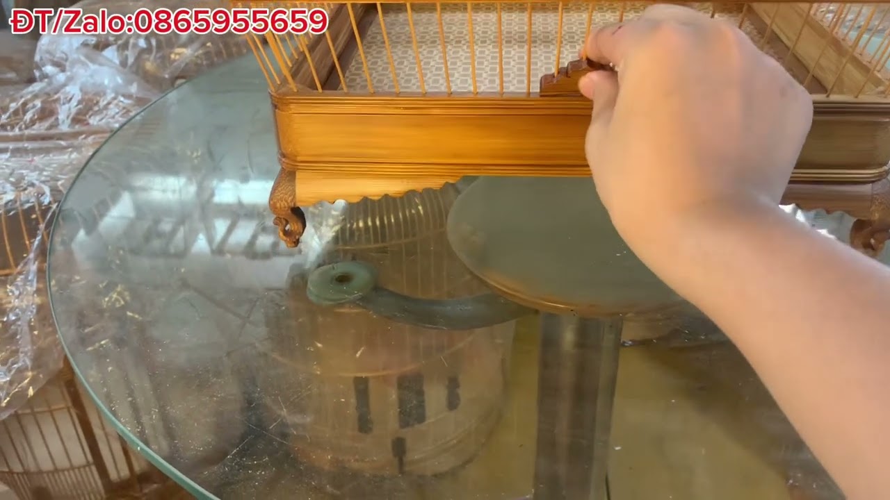 Hai mẫu chào mào sim được ưu chuộng nhất hiện nay.