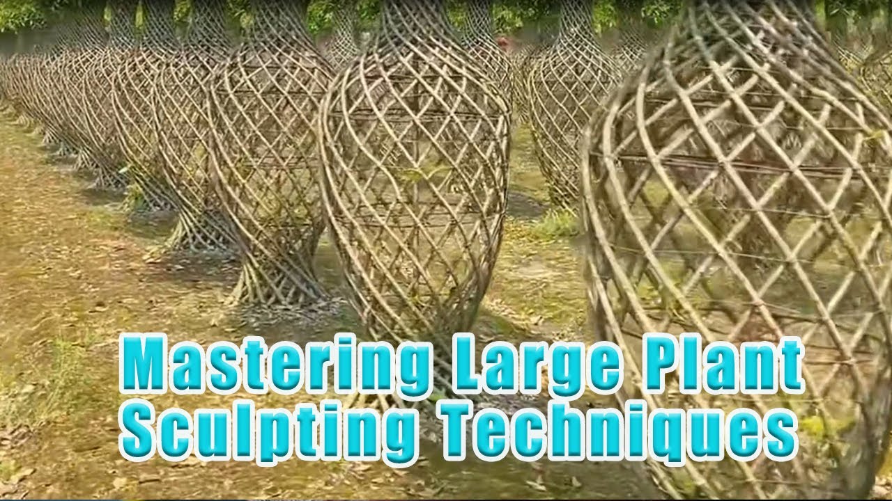Mastering Large Plant Sculpting Techniques