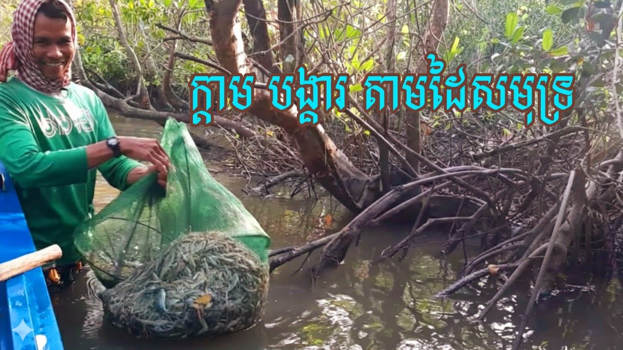 ទិដ្ឋភាព លើកលបតាមដៃសមុទ្រ_បង្គារច្រើន