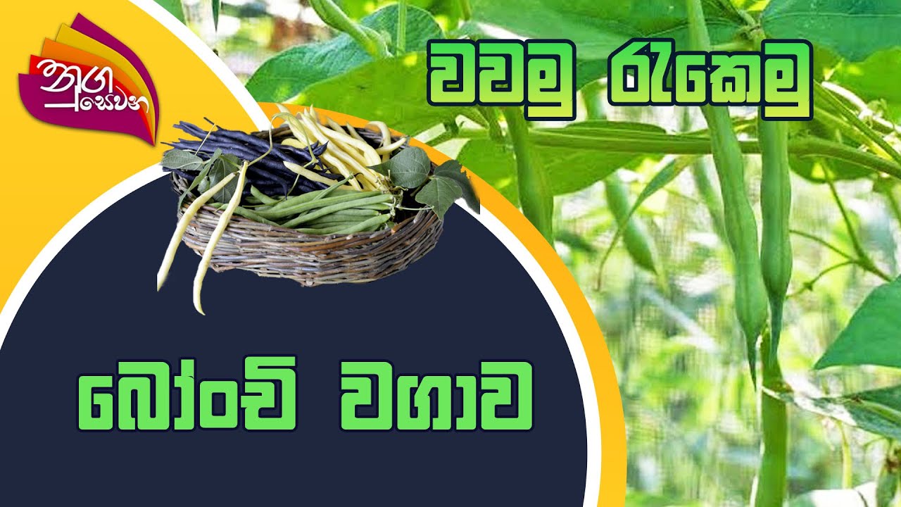 Nugasewana | Wawamu Rakemu - Bonchi Wagawa | 2022-08-19 |Rupavahini