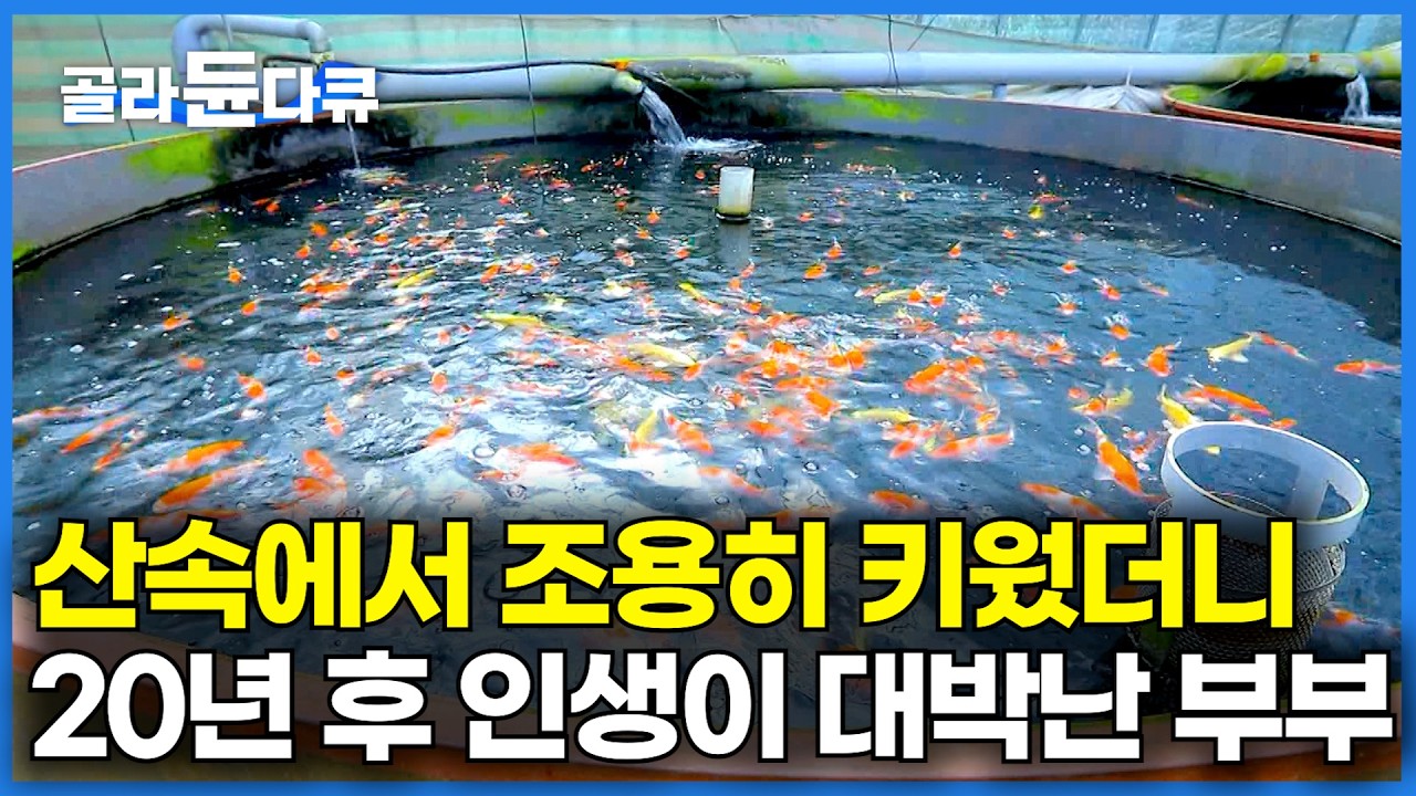 남들 아파트, 주식 살 때 우리 부부는 치어를 샀다｜20년 전 산 잉어와 철갑상어 치어 덕분에 마침내 인생이 달라졌다는 부부｜한국기행｜#골라듄다큐