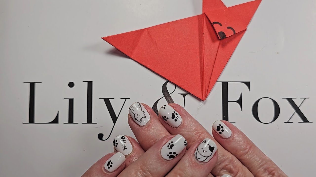 Lily and Fox nail polish strips review