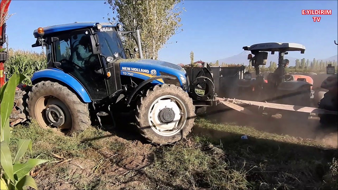 Newholland TD75D Mısır Silajı