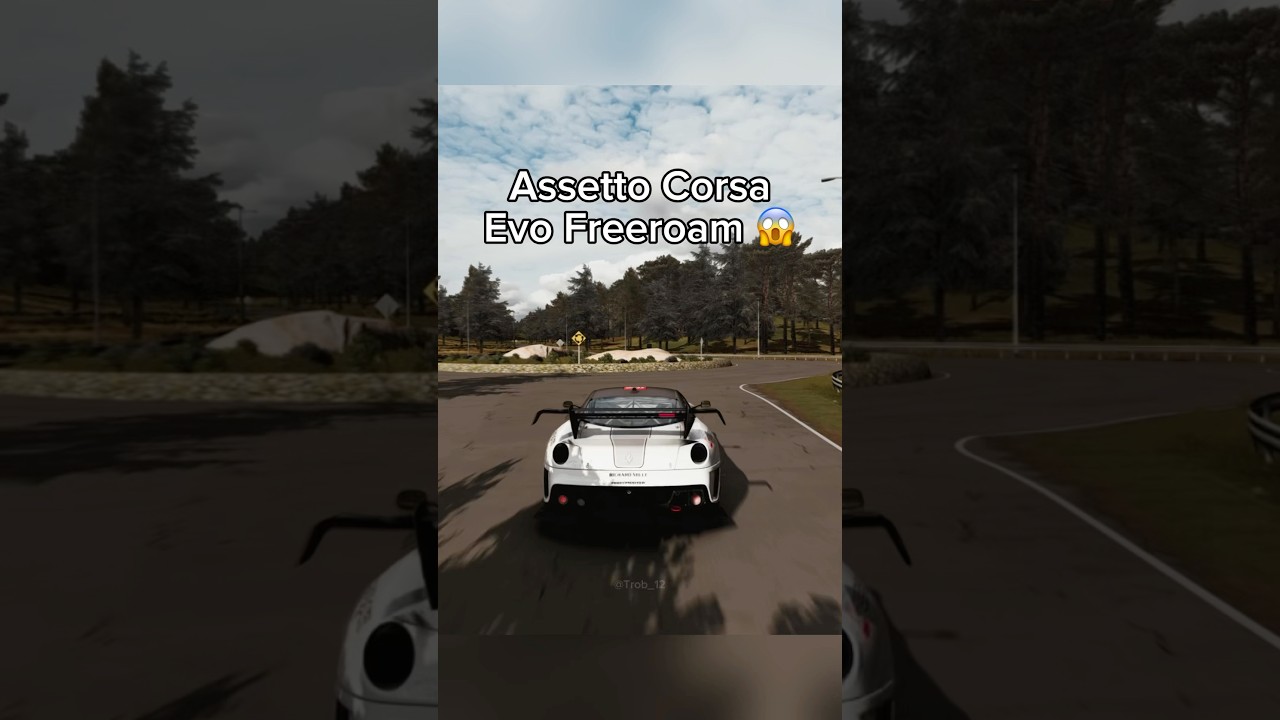 Assetto Corsa Evo N&uuml;rburgring Freeroam😱#assettocorsa #assettocorsaevo #acevo #ac #simracing #shorts