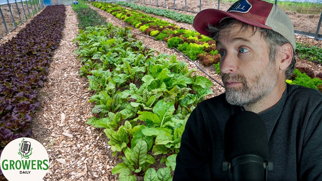 The Phases of a Farm + Wood Chips as a Surface Mulch?