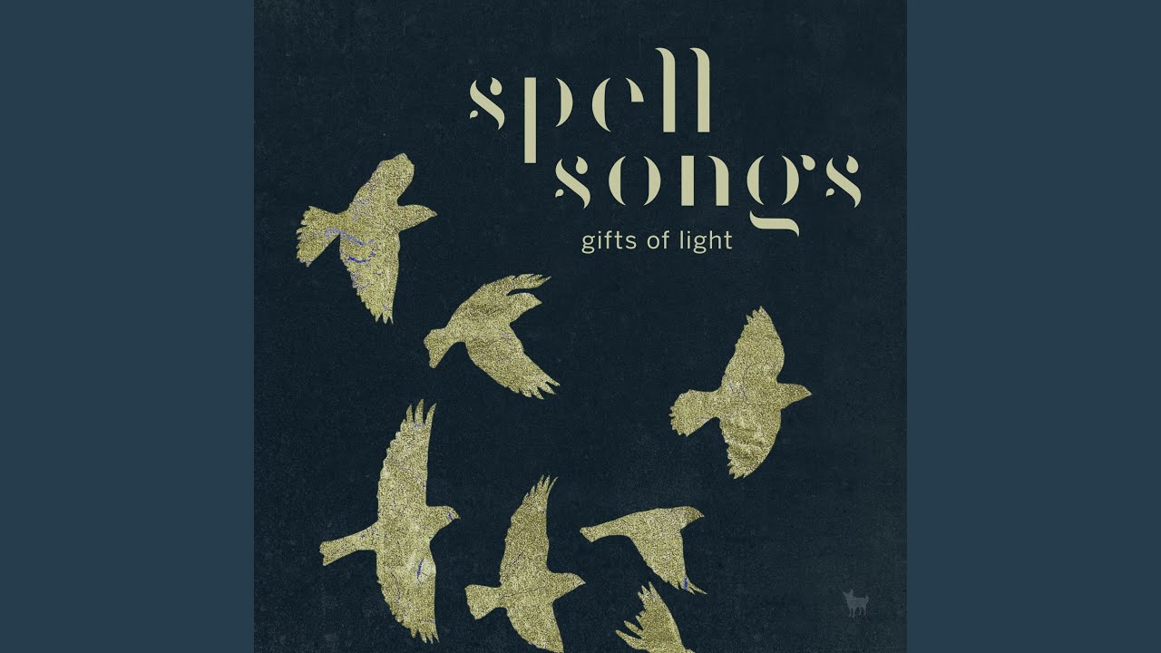 Bird of the Blizzard (Live at Birmingham Symphony Hall)