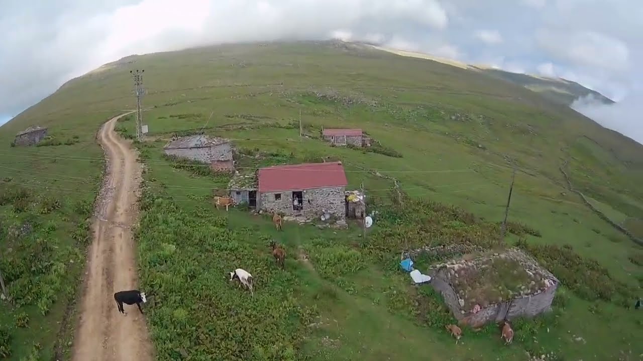Trabzon Araklı 2350m Yeni Yayla 2