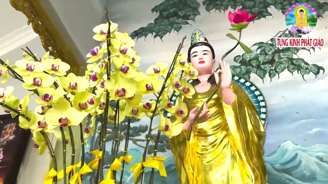 Sáng Mùng 5 Âm Mở Kinh Cầu An Mẹ Linh Ứng Hộ Trì Tiền Vô Ào Ào Như Nước Bồ Tát Phù Hộ Khỏe Mạnh Lắm