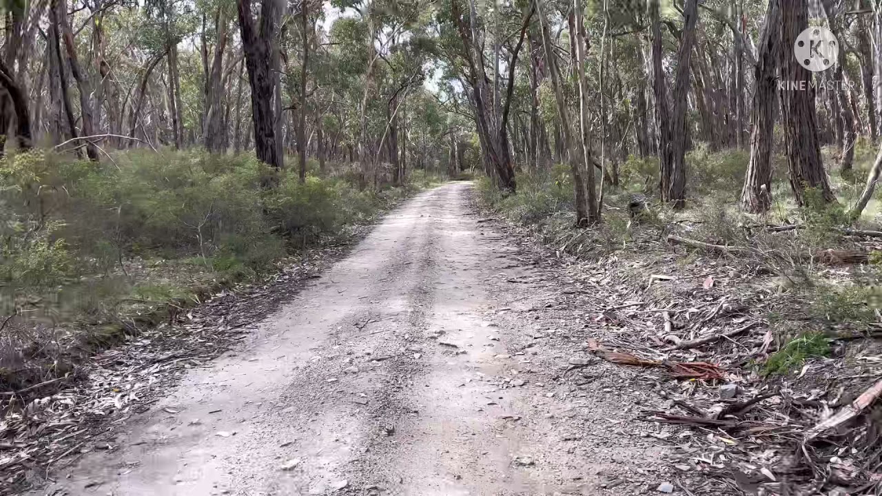 11km Bush walk || Brisbane Ranges
