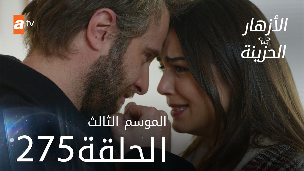 مسلسل الأزهار الحزينة | الحلقة 275 - الموسم الثالث