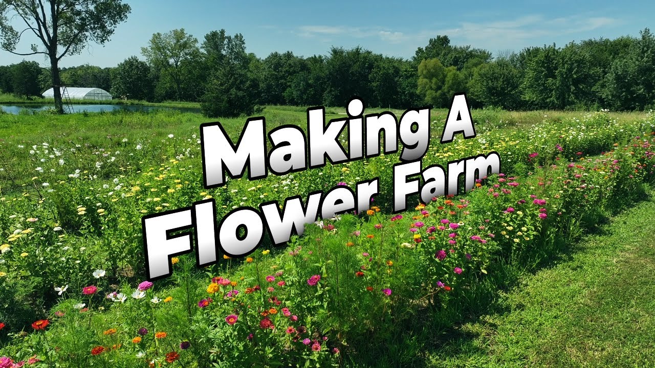 We Made a Flower Farm Right Next to Our Pond - Forever Pond Series (Pt. 2)